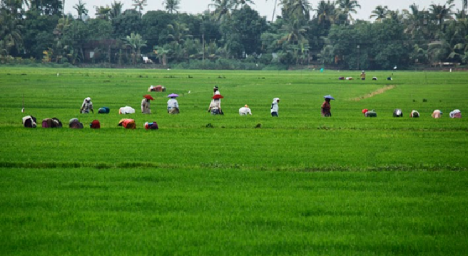 കായൽ കൃഷി ഗവേഷണ കേന്ദ്രം ഡയറക്ടർ ഒഴിവ്‌; അപേക്ഷ ക്ഷണിച്ചു