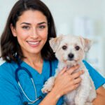 മലപ്പുറത്ത്‌ വെറ്ററിനറി സര്‍ജന്‍ വാക് ഇൻ ഇന്റര്‍വ്യൂ, Veterinary doctor jobs Kerala Veterinary surgeon jobs Kerala വെറ്ററിനറി ഡോക്ടർ ജോലി കേരളം Veterinary doctor vacancy Kerala Veterinary jobs Kerala, Veterinary doctor jobs in Kerala 2026 Veterinary surgeon vacancy Kerala Animal Husbandry Department Kerala veterinary surgeon AHD Kerala veterinary surgeon recruitment KVASU veterinary jobs Veterinary doctor contract jobs Kerala Mobile veterinary unit jobs Kerala Veterinary doctor walk in interview Kerala BVSc jobs Kerala Veterinary surgeon Gr II Kerala PSC Veterinary doctor salary Kerala Government veterinary doctor jobs Kerala Private veterinary clinic jobs Kerala വെറ്ററിനറി സർജൻ ഒഴിവ് കേരളം വെറ്ററിനറി ഡോക്ടർ അപേക്ഷ കേരളം, Veterinarian jobs Kerala Veterinary assistant surgeon Kerala Veterinary consultant Kerala Veterinary physician Kerala Animal doctor jobs Kerala Vet doctor jobs Kerala Veterinary surgeon AHD Kerala KVASU recruitment veterinary Veterinary doctor Thiruvananthapuram / Kochi / Ernakulam / Kozhikode / Thrissur Poultry veterinarian jobs Kerala Dairy veterinarian jobs Kerala, Veterinary surgeon jobs Ernakulam / Kochi Veterinary doctor jobs Thiruvananthapuram Veterinary jobs Palakkad / Kottayam / Kannur Kerala State Veterinary Council registered jobs Veterinary surgeon mobile unit Kottayam Veterinary doctor night duty Kerala Zoonoses veterinary jobs Kerala,